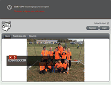 Tablet Screenshot of eosay.com